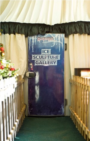 ice-festival-10